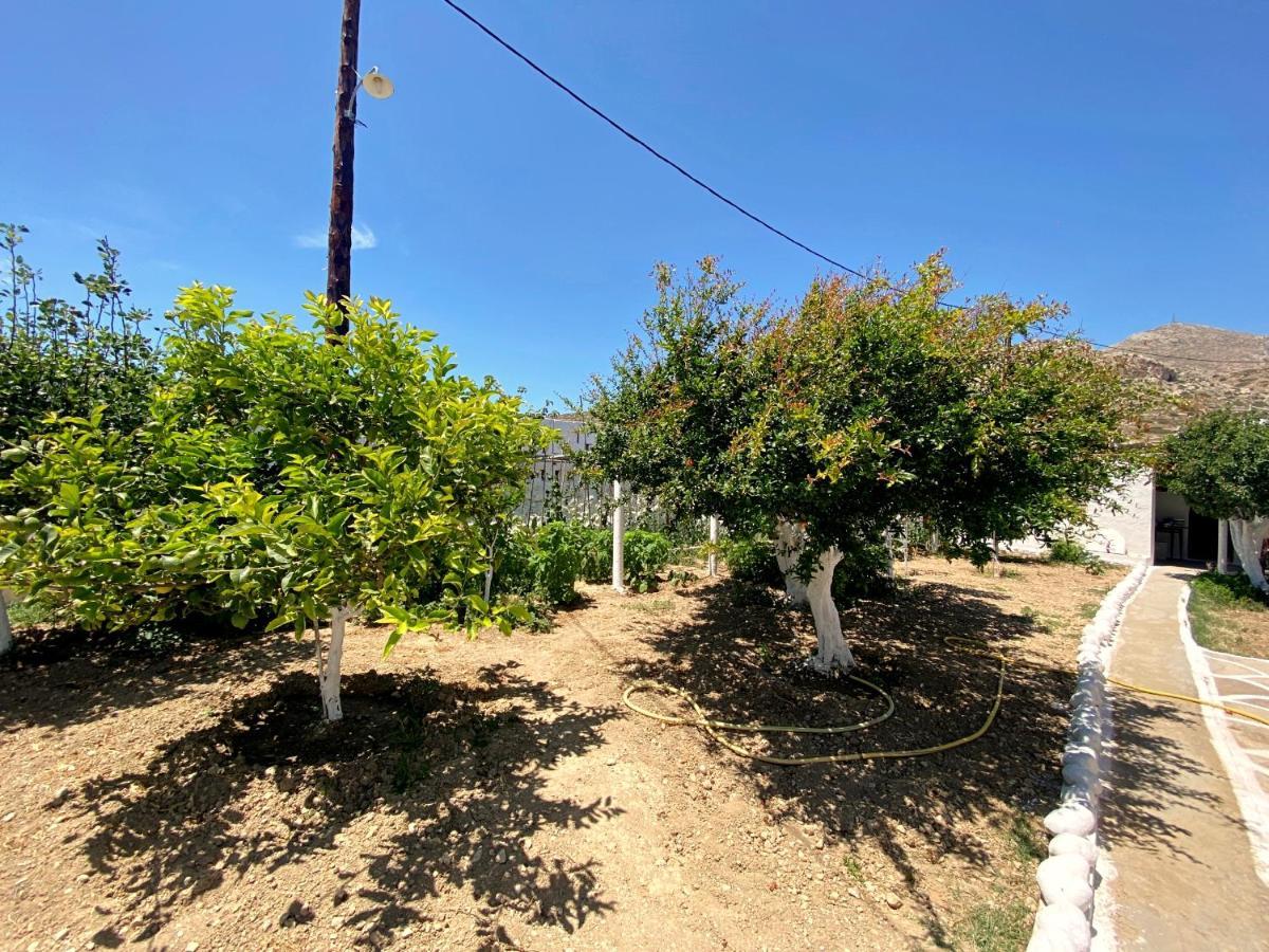 Michail Suites Afiartis Karpathos Εξωτερικό φωτογραφία