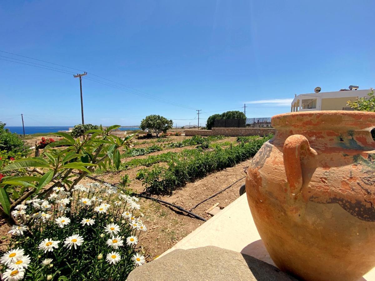 Michail Suites Afiartis Karpathos Εξωτερικό φωτογραφία